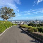 Auckland CITY HIGHLIGHTS Tour with Hotel Pickup - Transportation and Group Size
