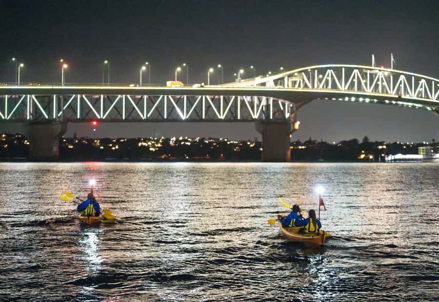 Auckland: City Lights Night Kayak Tour - Who Will Love This Tour?  