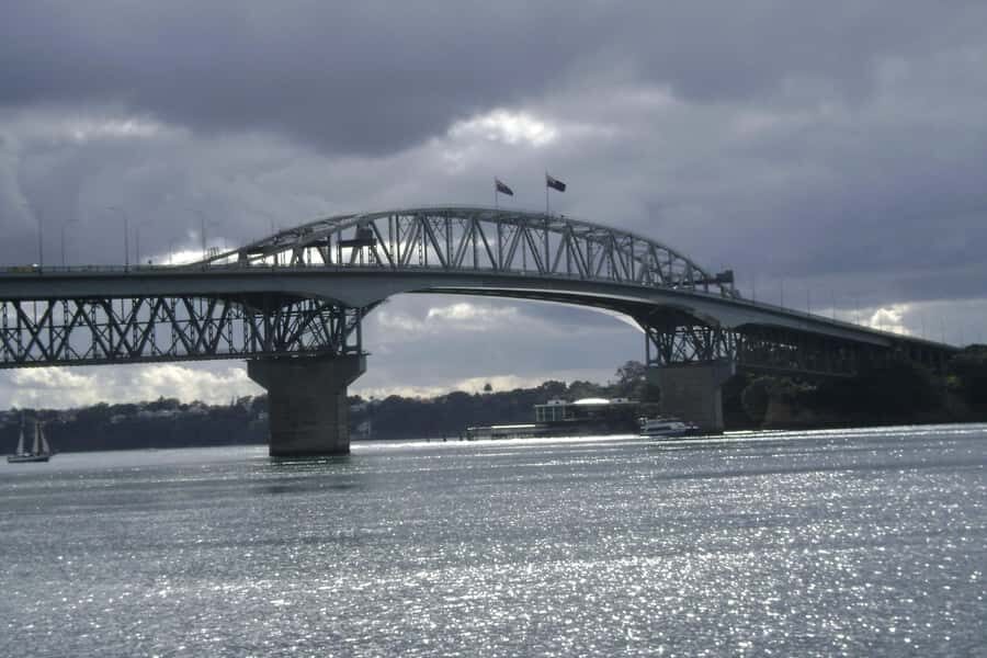 Auckland: Guided Small Group City Discovery Tour - What to Expect from the Experience