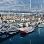 Auckland Half Day City Tour - Heart of Auckland - A Complete Breakdown of the Itinerary