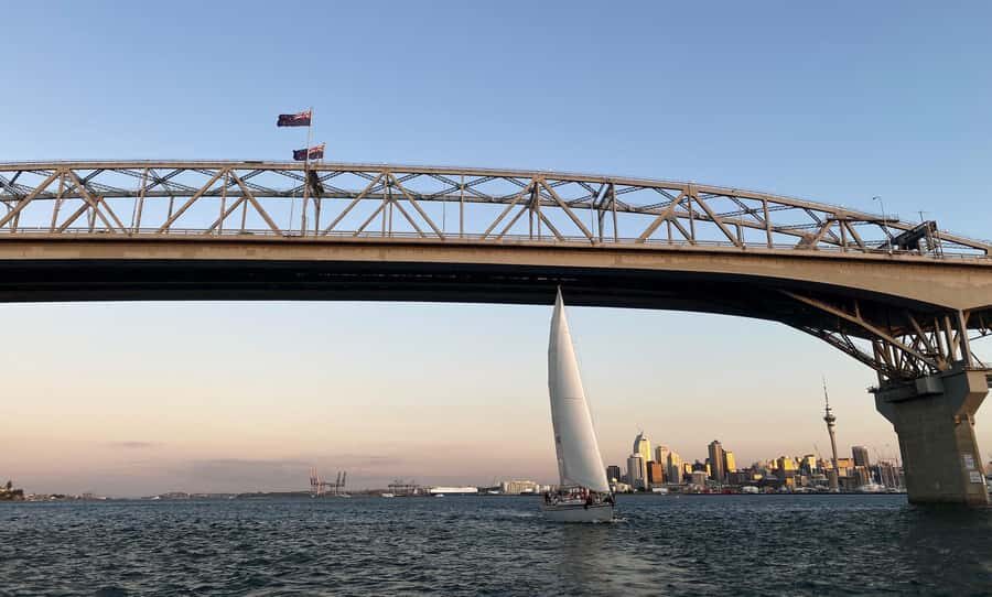 Auckland: Harbour Sailing Cruise with 3-Course Dinner - The Sailing Experience: What Makes It Special