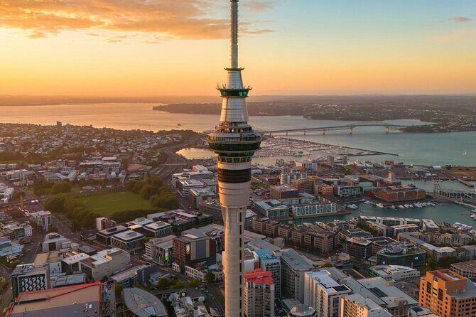 Auckland Highlight Attractions Small Group Tour - Transportation, Group Size, and Timing
