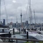 Auckland Highlights Full Day Guided Tour - Who Should Consider This Tour?