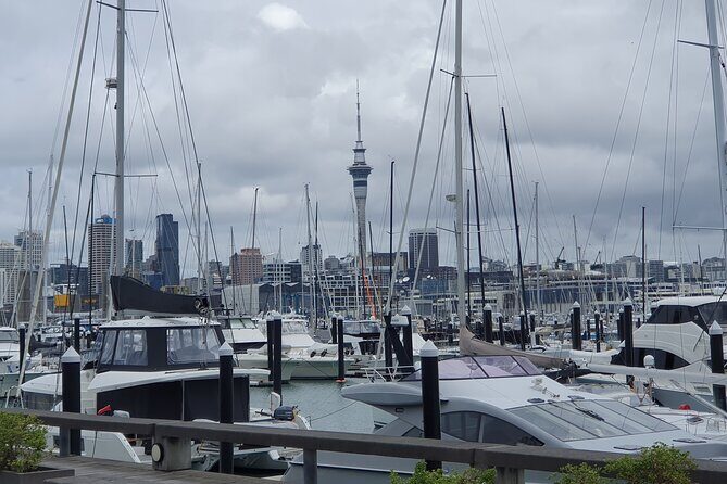 Auckland Highlights Full Day Guided Tour - Who Should Consider This Tour?
