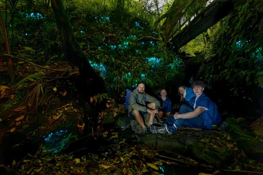 Auckland: Inner-City Glowworm Experience in Ancient Volcano - Exploring Auckland’s Oldest Park: Pukekawa Volcano