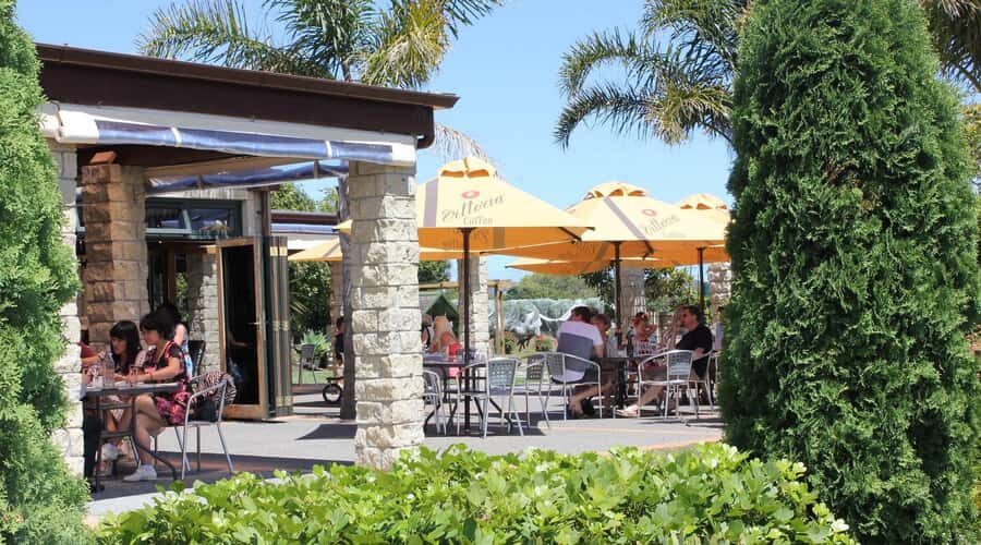 Auckland: Luxury Kumeu Wine Tour with Gourmet Lunch - The Value of This Experience