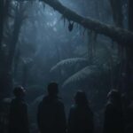 Auckland: Piha Native Bat Discovery Walking Tour - What is the Piha Native Bat Discovery Walking Tour?