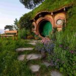 Auckland: Private Hobbiton Movie Set & Waitomo Caves Tour - Waitomo Caves: Starry Underworld