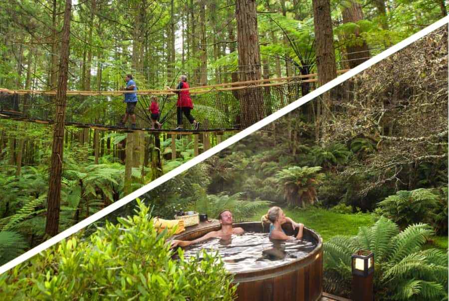 Auckland: Rotorua Highlights w Redwoods Treewalk & Hot Tubs - A Complete Look at the Itinerary
