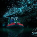 Auckland: Spellbound Glowworm Caves Explorer Tour - What You Can Expect Throughout the Day