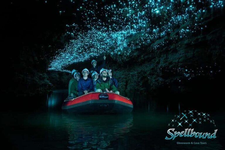 Auckland: Spellbound Glowworm Caves Explorer Tour - What You Can Expect Throughout the Day