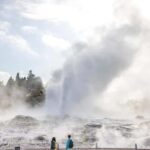Auckland: TE PUIA Rotorua, Redwood & Blue Springs Day Tour - Practicalities and Tips for Travelers