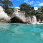 Auckland to Coromandel: Private Coastal Escape - Why This Tour Is a Great Choice
