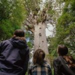 Auckland to Paihia via West Coast Small Group Tour (One Way) - Why This Tour Offers Great Value