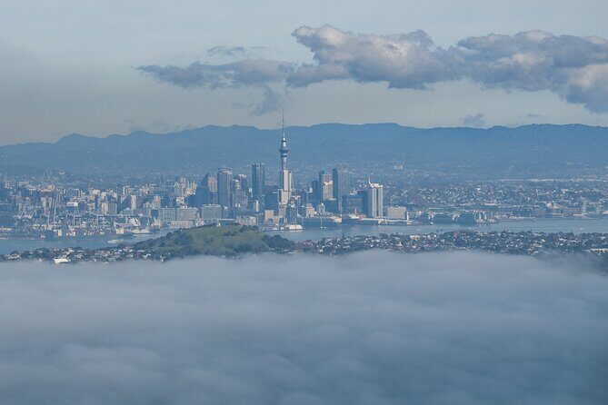 Auckland to Rangitoto Island Ferry - Is This Tour Right for You?