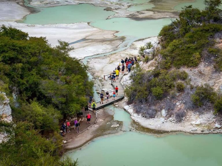 Auckland: Wai-O-Tapu & Wai Ariki Hot Springs Day Tour - Practical Details and Value