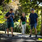 Auckland Walking Tour: Small-Group History & Culture Experience - The Itinerary: A Walk Through Auckland’s Core