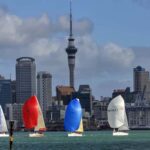 Auckland: Wild West Coast, Black Sand Beaches Tour inc Lunch - A Deep Dive into the Itinerary