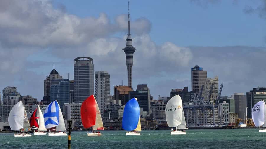 Auckland: Wild West Coast, Black Sand Beaches Tour inc Lunch - A Deep Dive into the Itinerary