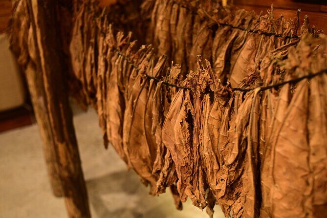 Aurora Premium Sensory Tasting Pairing, and Fine Cigar Experience - Frequently Asked Questions