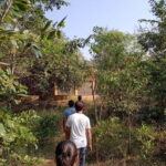 Auroville: Nature Trail Forest Cycling Adventure - The Storytelling Element
