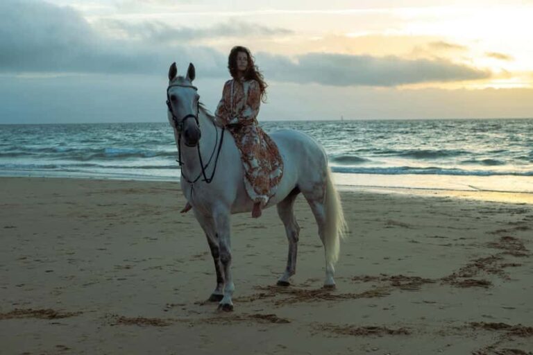Australia: Beach Horse Ride and Lagoon Swim with Photos - An In-Depth Look at the Beach Horse Ride and Lagoon Swim Tour