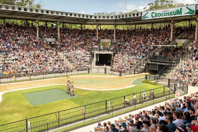 Australia Zoo Transfer from Noosa and Sunshine Coast - Analyzing the Value and Practicalities