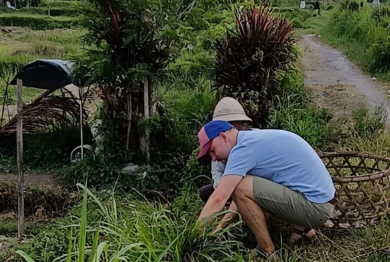 Authentic Balinese Local Life Experience in Pinge Village - A Deep Dive into the Experience