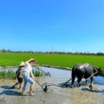 Authentic Hoi An: Explore Countryside with Locals - Practical Details & Value
