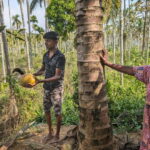 Authentic local vegetarian Kerala cooking class in Wayanad - Discovering the Heart of Kerala’s Cooking
