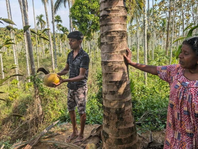 Authentic local vegetarian Kerala cooking class in Wayanad - Discovering the Heart of Kerala’s Cooking