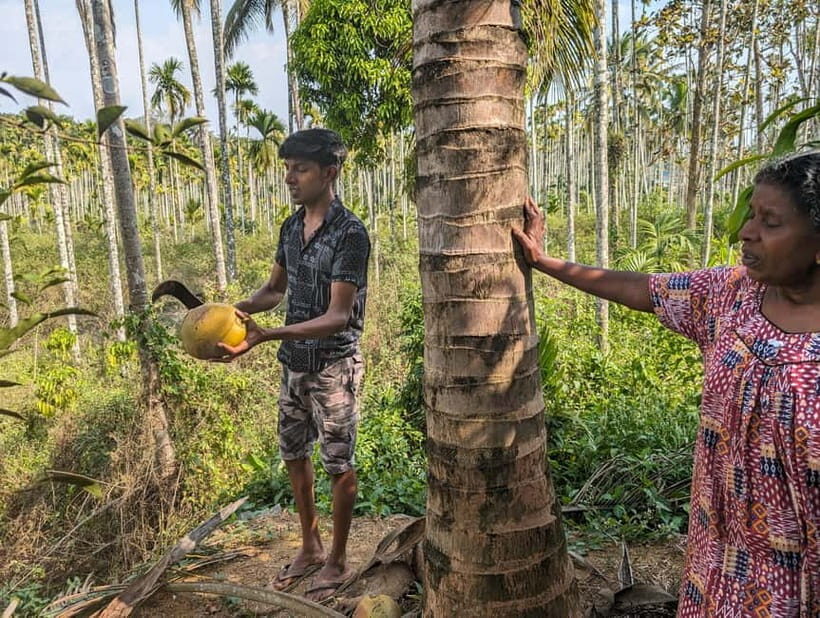 Authentic local vegetarian Kerala cooking class in Wayanad - Discovering the Heart of Kerala’s Cooking