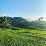 Authentic Lombok: Nature, Tradition & Historic Heritage - The Cultural and Scenic Highlights of Rice Terraces and Sembalun