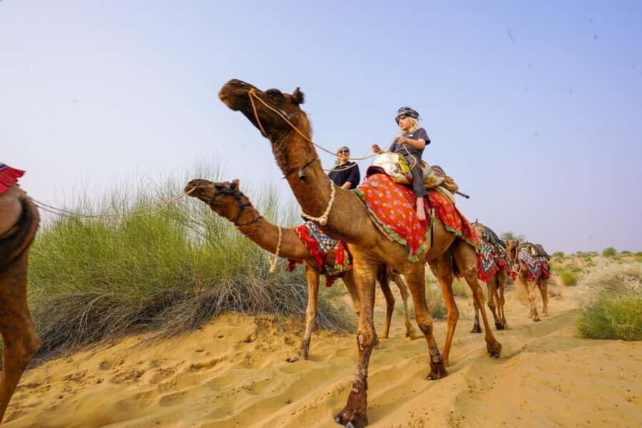 Authentic Overnight Camel Safari & Sleep Under the Stars - Deep Dive into the Details