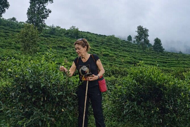 Authentic Pokhara - 2 Days of Immersive Experiences - The Overall Experience: Authenticity and Value