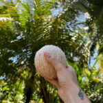 Authentic Sri Lankan Village Experience with Local Family - The Practicalities