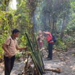 Authentic trek only walk in Chiang Rai jungle - What the Reviews Tell Us: Authentic, Fun, and Worthwhile