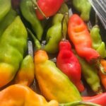 Authentic Trinidadian Cooking Class in Port of Spain - Who Is This Tour Perfect For?