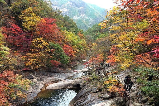 Autumn Foliage-Mt. Seorak, Sokcho Fish Market, Sokcho Beach - Seoraksan National Park – The Heart of Autumn Beauty