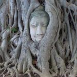 Ayutthaya Historical Park and Local Market Tour - Wat Mahathat: The Enchanting Buddha Head