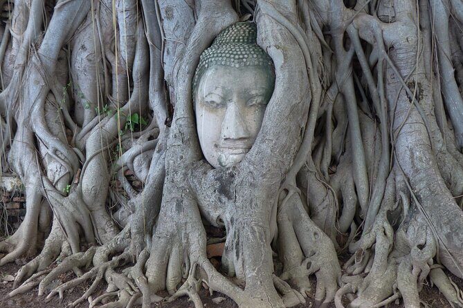 Ayutthaya Historical Park and Local Market Tour - Wat Mahathat: The Enchanting Buddha Head