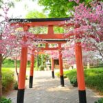 Ayutthaya Pass Save up to 53% - Includes Mayura's House - The Attractions and Experiences