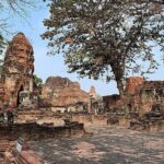 Ayutthaya Temples One Day Tour from Bangkok with Sunset Boat - What Makes This Tour Stand Out?
