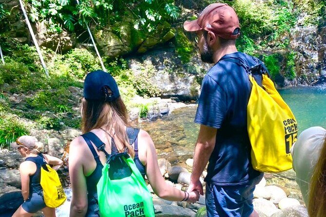 Bach Ma National Park Daily Trekking From Da Nang - The Practicalities and Considerations