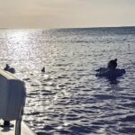 Backwater Wildlife and Boat Tour - Why Choose This Tour?