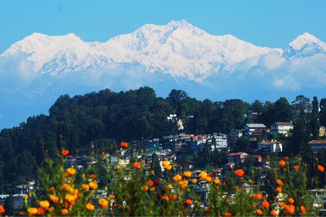 Bagdogra to Darjeeling transfer - Detailed Review of the Bagdogra to Darjeeling Transfer