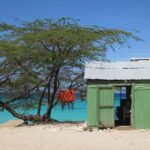 Bahía de las Aguilas: Beach Day Trip by Boat - Practical Details: Transportation, Duration, and Group Size