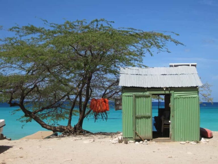 Bahía de las Aguilas: Beach Day Trip by Boat - Practical Details: Transportation, Duration, and Group Size