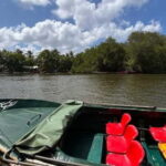 Balapitiya: Madu River Boat Tour - Exploring the Madu River: What to Expect