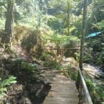 Bali: 10 Waterfalls Tour with Lunch at Local Family Home - Scenic Jungle Trails and Hidden Gems